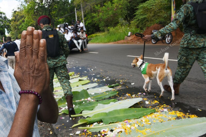 2026 මැයි කලාපය