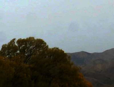 මිහිලිය රැඟුම