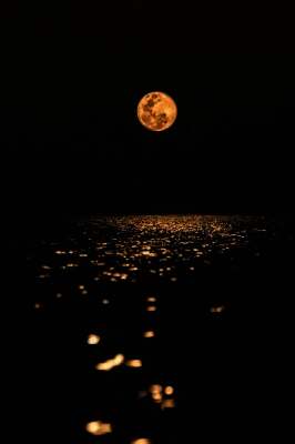 දිදුලනසඳ පායා  නුබ කුස සඳු ඇසළ