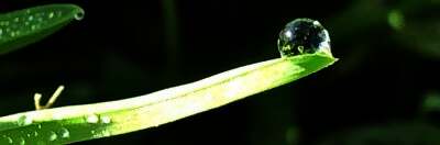 තුහිනයක් නිවන්නට  තුහිනයට ලෙහෙසිද