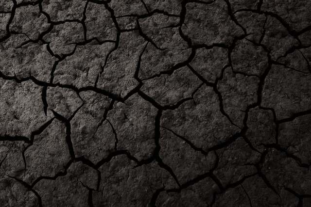 නියංසාය,