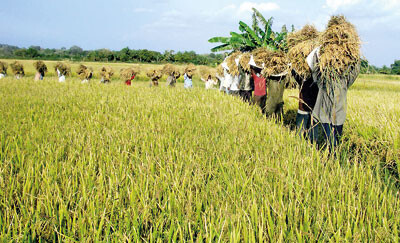 ඊයේ අද සහ හෙට.