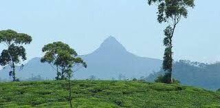 ලිහිණි අක්කාට ඩිප්රෙෂන්