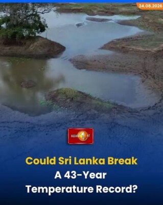 අනේ අපොයි ගඟකුත් කර ගත් හරිය